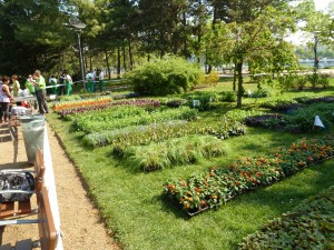 P1020370