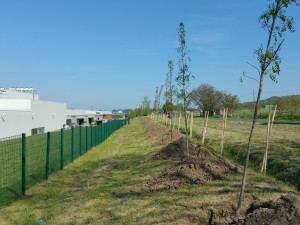 20160422_095023