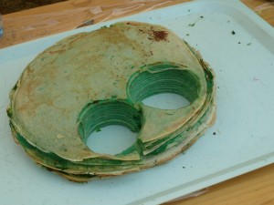 P1030041